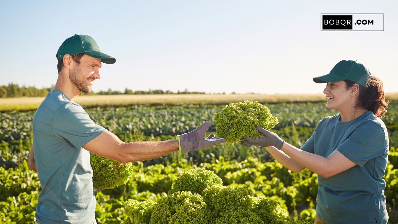 Fruit Farm Worker Jobs in Canada